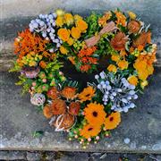 Open mixed heart