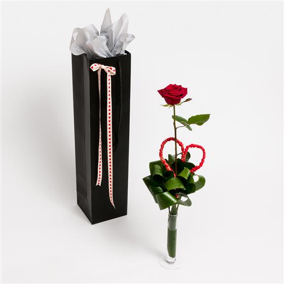 A Single Red Rose In A Glass Vase